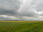 Borkovice